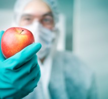 Tell USDA to reject the GE apple!