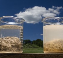 Brasil consome 14 agrotóxicos proibidos no mundo Brasil consome 14 agrotóxicos proibidos no mundo